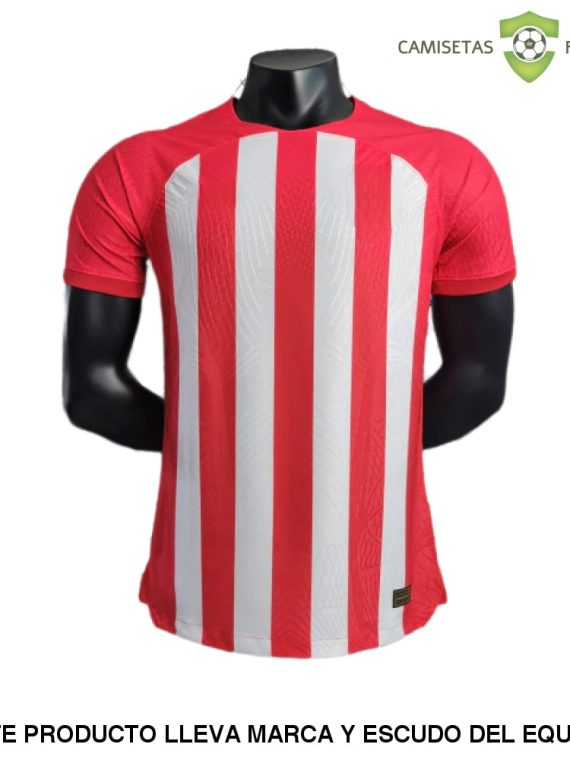 Camiseta Atl??tico de Madrid 23-24, Local (Player Version)
