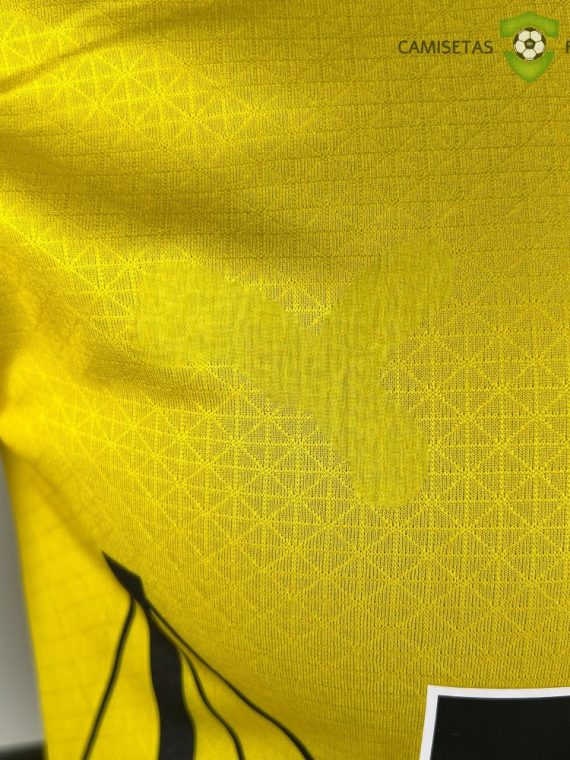 Camiseta Borussia Dortmund 23-24, Local (Player Version)