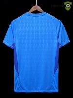 Camiseta Juventus 23-24, Portero Azul
