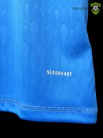 Camiseta Juventus 23-24, Portero Azul