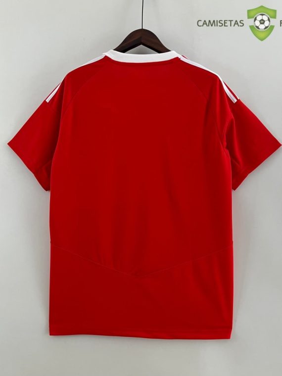 Camiseta Real Murcia 23-24, Local
