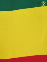 Camiseta Senegal 22-23, Local