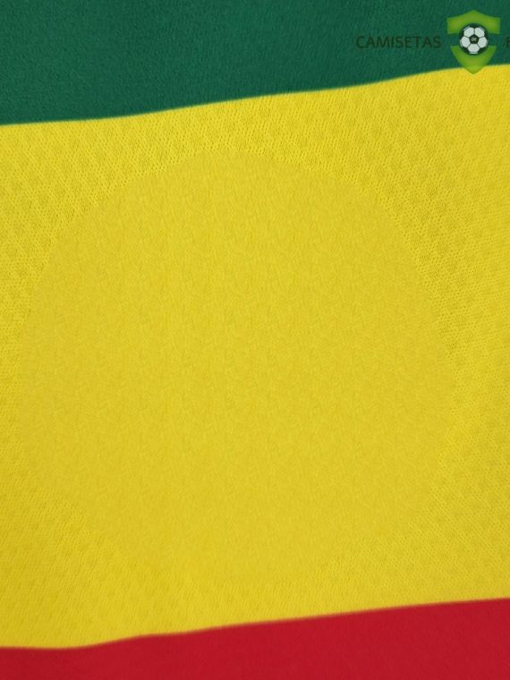 Camiseta Senegal 22-23, Local