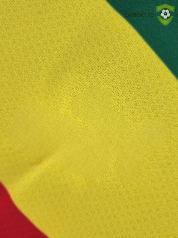 Camiseta Senegal 22-23, Local