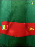 Camiseta Senegal 22-23, Visitante