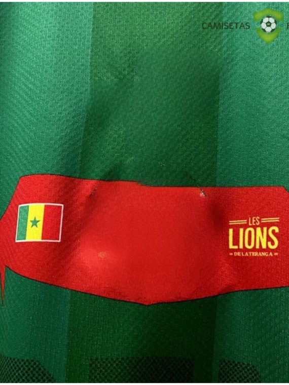 Camiseta Senegal 22-23, Visitante