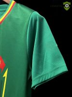 Camiseta Senegal 22-23, Visitante