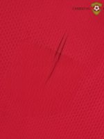 Camiseta Serbia 22-23, Local