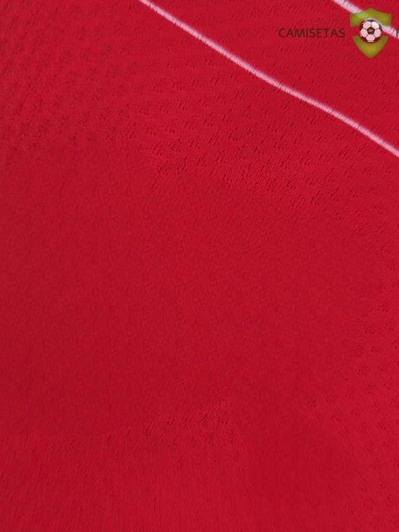 Camiseta Suiza 22-23, Local