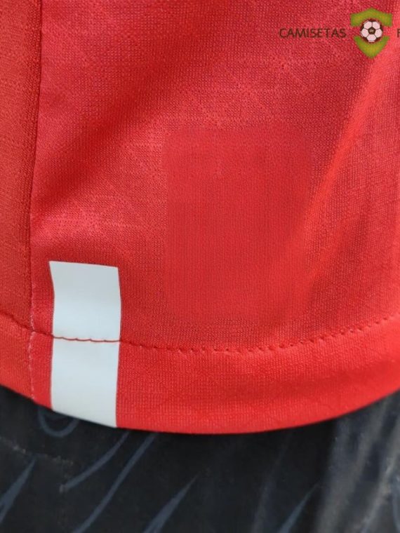 Camiseta Suiza 22-23, Local (Player Versi??n)