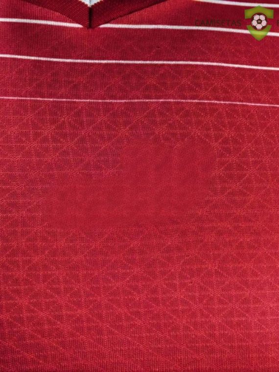 Camiseta Suiza 22-23, Local (Player Versi??n)